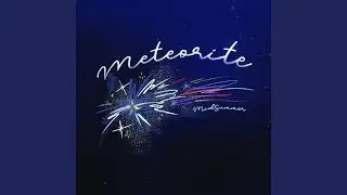 Meteorite