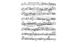 Clarinet Solo: Zoltán Kodály - Dances of Galánta, Part I