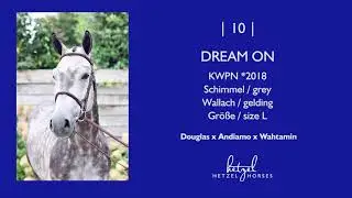 10 | Dream On (Douglas x Andiamo x Wahtamin) | Holger Hetzel Sport Horse Sales 2025