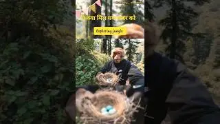monkey king movie hindi #freestyle #music #funny