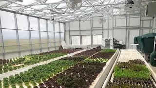 Commercial Greenhouse Planning Webinar