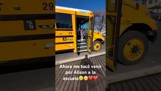 School#Bus#Class#Learning#writing#And reading####