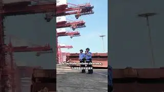 Первые экспонаты CIIE из Чанкая прибыли в Шанхай по новому прямому маршруту доставки