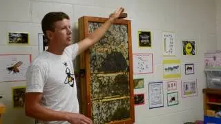 Bee Advocate Hive Investigations Guide for a Top Entrance Hive