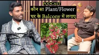 कौन सा Plant/Flower घर के Balcony में लगाए | @Citymaliofficial Founder Explained it