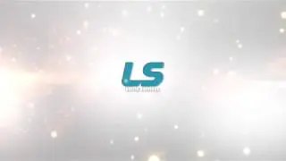 LS Shuttle Services