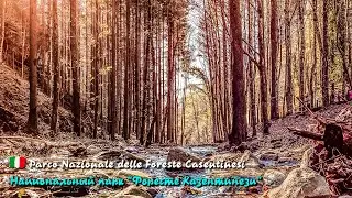 🎦 Национальный парк 