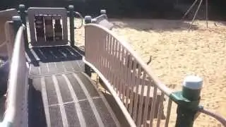 Australian Cattle Dog practicing the COME command