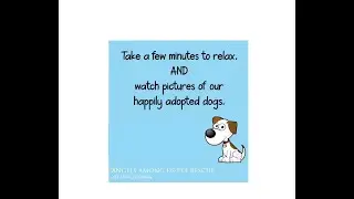Forever Friday - Rescue Dog Adoptions - Angels Among Us Pet Rescue - Atlanta Georgia