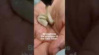 Unlock Amazonian hair secrets