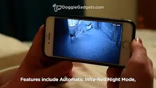 Clever Dog WiFi Pet Monitor with Camera