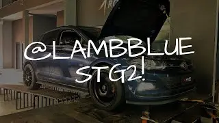 POLO STG2 NO DINA MAIS CARRASCO QUE CONHEÇO!! LAMB BLUE STAGE 2!!