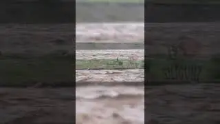 Man stuck in the middle of Balason River at MM Terai, rescue operations underway.