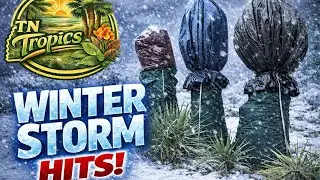 WINTER STORM HITS! 🌨️ Quick Tips and Tour!