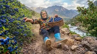 Wild Blueberry Picking Adventure on a Mountain | village cooking in IRAN