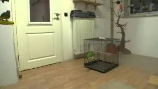 Einsteigen in die Transportbox