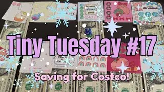 Tiny Tuesday #17 | $43 Savings Challenge | Saving for Costco and Kids Clothes | 3rd Week of January