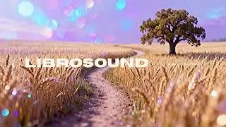 Cool Down Boy, Cozy Winter Beat to Study to, Lo-Fi | No Copyright Music | Free to Use