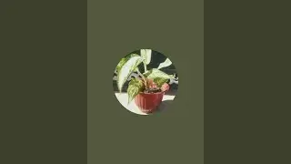 Prem Singh nature lover is live!
