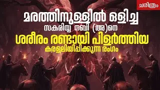 മരത്തിനുള്ളിലെ പ്രവാചകനെ അറുത്തുമാറ്റിയ ക്രൂരത! സകരിയ്യാ നബിയുടെ(അ)ഈ മരണം കേട്ടാൽ കരഞ്ഞ് പോകും.