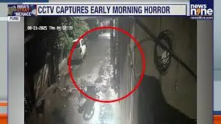 Stray Dog Attack in Pimpri-Chinchwad: Young Man Injured in CCTV-Captured Incident | News9