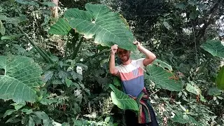 LBPEV : Ep 7 Part 1 - Le Nicaragua