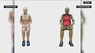Transportation Department unveils new female crash test dummy to improve vehicle safety for women