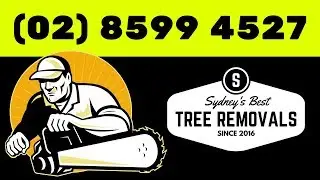 Tree Removal Harbord Sydney