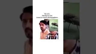 Leave me alone .funny viral meme ,Photography meme , macro photographers #funny #photography #indian