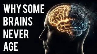 WHY SOME BRAINS NEVER AGE #motivation #youtubevideo #humanbehavior 