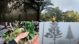 Travel vlog⛺️our journey from tanumah to taif | رحلتنا من تنومه للطايف