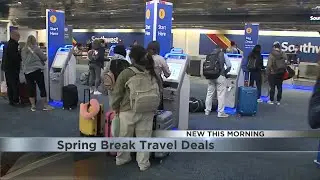 Spring Break Travel Deals