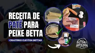 RECEITA DE PAT&Ecirc; PARA PEIXE BETTA