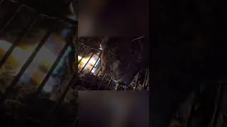 Секрет идеальной температуры приготовления стейка раскрыт!
