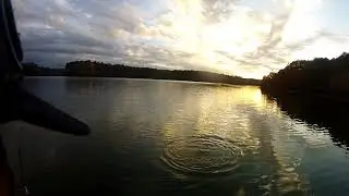 nicest one of the day ron b fishing Lake Juliette for stripe bass