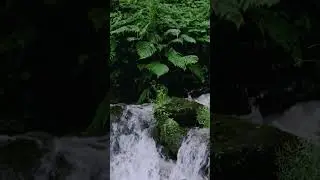 Waterfall ASMR | Nature Sounds for Relaxation, Meditation & Sleep