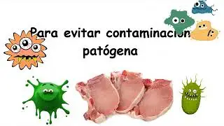 Manipulaci&oacute;n y conservaci&oacute;n de la carne de cerdo