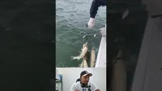 una t&eacute;cnica de pesca sorprendente #fishing