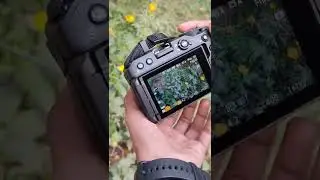 #Nikonz30 camera  shoot a beautiful flower || Thanks for 4M view.. @Camera_dot_com