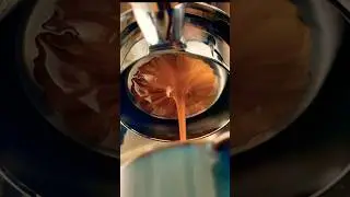 Just an extraction with automatic pre-infusion (flow rate of 1.8 ml/s) #gaggia #gaggimate #coffee
