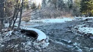 Idaho