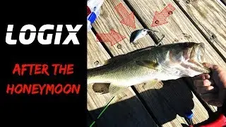 After The Honeymoon - LOGIX BAITS Review