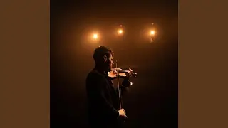 Calm Orchestral Vibes for Animals