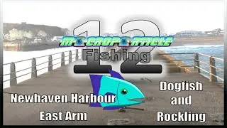 MACROPARTICLE Fishing 12 - Newhaven Harbour East Arm: Dogfish and Rockling