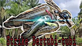 CASTING HARUAN GUNA SPINNER BAIT | ULTRALIGHT | STRIKE BERTUBI-TUBI | CASTING HARUAN GUNA SOFT FROG