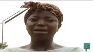 The Lion of Africa 