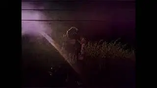 Devilin - MiusedInLife (OFFICIAL MUSIC VIDEO)