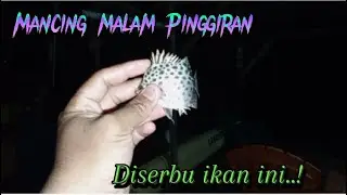Spot mancing malam pinggiran di Batam || diserbu ikan ini...! #fishing #mancing #mancingmalam