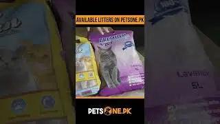 Available litters on petsone pk