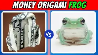 How to Fold a Money Origami Frog That Will Blow Your Mind! 🐸💸
